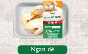 Ngan tươi Ogari