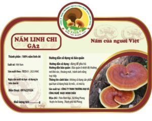 Nấm linh chi