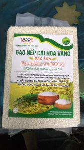 Gạo nếp cái hoa vàng