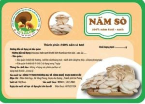 Nấm sò