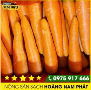 Cà rốt