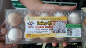 Trứng vịt Chấn Hưng