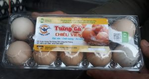 Trứng gà ta Chiêu Viên