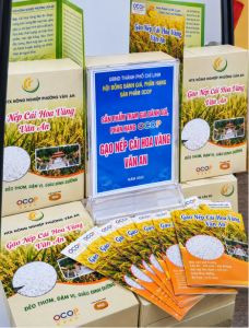 Gạo nếp cái hoa vàng Văn An