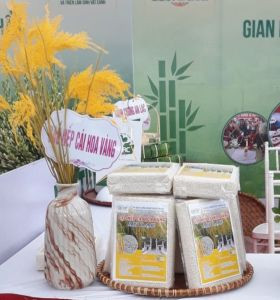 Gạo nếp cái hoa vàng An Lạc