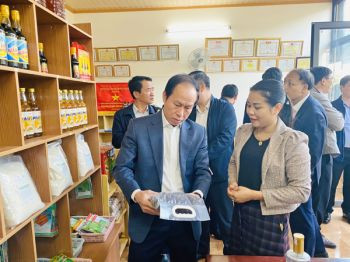 Hợp tác xã sản xuất kinh doanh - dịch vụ Nông nghiệp Thụy Hương